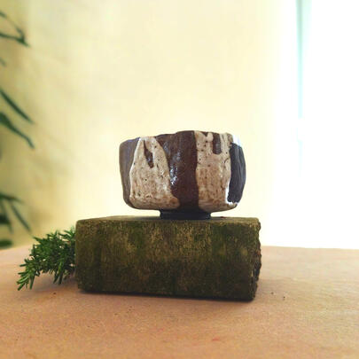 crawling | 40 € |