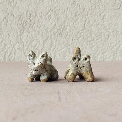 gattini svant | 10 € |